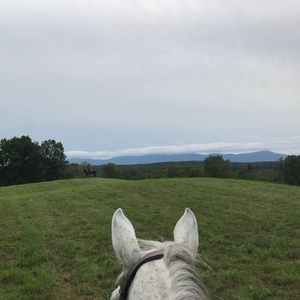 Meet your Posher, Djuna